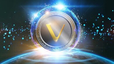 VeChain Lanza la Aprobación de VeBetterDAO: ¡Un Triunfo para Titulares de VET y Nodos! - Cripto Boom