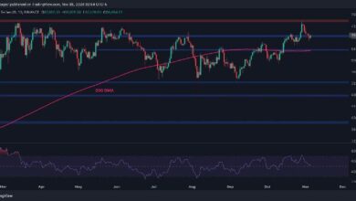 Bitcoin Puede Alcanzar un Nuevo Máximo Histórico si Mantiene Este Nivel Crucial: Análisis del Precio de BTC - ¡Descubre Más! - Cripto Boom