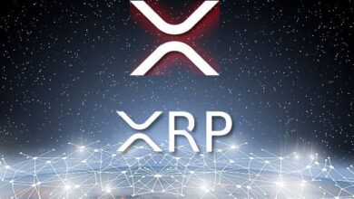 El Precio de XRP Alcanzará $1.03 Esta Semana Si Ocurre Esto: Análisis Experto ¡Descubre Más! - Cripto Boom