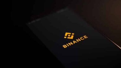 ¡Gran Éxito de Binance: Lista 17 Memecoins en 2024! - Cripto Boom