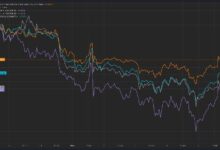 Precio de Bitcoin Aplastando a las Altcoins Antes de las Elecciones en EE.UU. ¿Se Aproxima una Recuperación de Altcoins? ¡Descúbrelo! - Cripto Boom