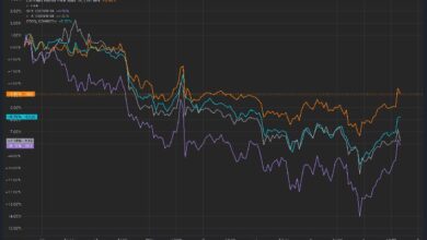 Precio de Bitcoin Aplastando a las Altcoins Antes de las Elecciones en EE.UU. ¿Se Aproxima una Recuperación de Altcoins? ¡Descúbrelo! - Cripto Boom