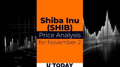 Predicción del Precio de SHIB para el 2 de Noviembre: ¡Descubre las Tendencias! - Cripto Boom