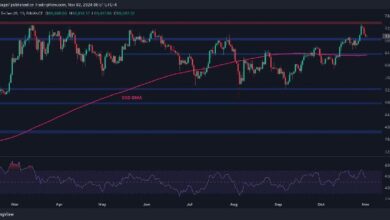 Análisis del Precio de Bitcoin: BTC Cae un 3% Durante la Noche, ¿Hasta Dónde Llegará? ¡Descúbrelo! - Cripto Boom