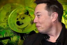 Elon Musk Rompe el Silencio sobre Dogecoin (DOGE) – Descubre la Reacción del Precio de BTC - Cripto Boom