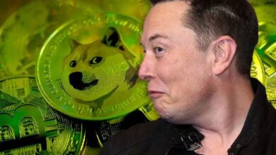 Elon Musk Rompe el Silencio sobre Dogecoin (DOGE) – Descubre la Reacción del Precio de BTC - Cripto Boom