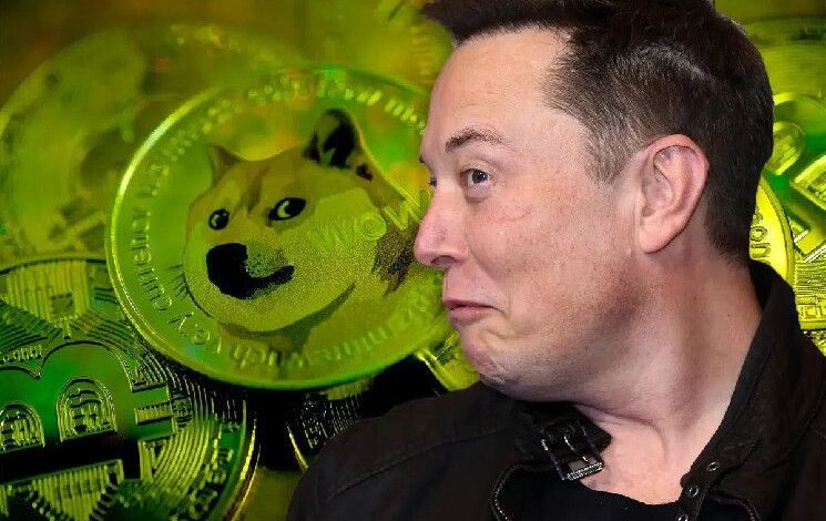 Elon Musk Rompe el Silencio sobre Dogecoin (DOGE) – Descubre la Reacción del Precio de BTC - Cripto Boom