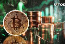 Bitcoin (BTC) se Acerca a $98,000 mientras las Altcoins Quedan Rezagadas – Descubre Más Ahora - Cripto Boom