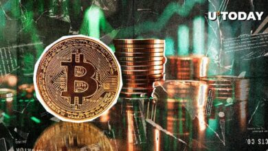 Bitcoin (BTC) se Acerca a $98,000 mientras las Altcoins Quedan Rezagadas – Descubre Más Ahora - Cripto Boom