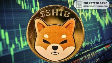 Shiba Inu: Experto Fija $0.00005685 como Próximo Objetivo para SHIB tras Impulso Electoral ¡Descubre Más! - Cripto Boom