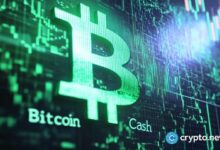 Gráfico de la semana: ¡Bitcoin Cash apunta a un repunte de dos dígitos! Indicadores alcistas señalan ganancias en BCH - Cripto Boom