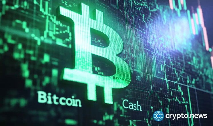 Gráfico de la semana: ¡Bitcoin Cash apunta a un repunte de dos dígitos! Indicadores alcistas señalan ganancias en BCH - Cripto Boom