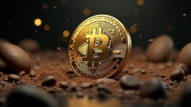 ¡Analistas Advierte una Corrección para Bitcoin mientras se Fortalece Frente al Oro! Descubre Nuevas Predicciones de Precios! - Cripto Boom