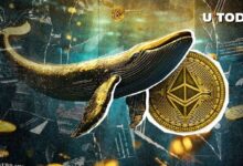 Ballenas de Ethereum Despiertan: ¡Transacciones Alcanzan el Nivel Más Alto Desde Agosto! - Cripto Boom