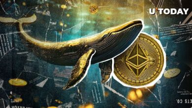 Ballenas de Ethereum Despiertan: ¡Transacciones Alcanzan el Nivel Más Alto Desde Agosto! - Cripto Boom