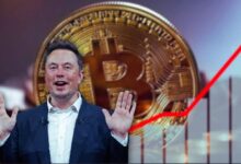 Inversores diarios aprovechan el efecto Musk tras las elecciones: descubre cómo impacta en el mercado criptográfico - Cripto Boom