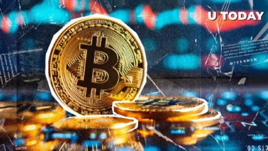 Bitcoin Alcanza un Nuevo ATH: ¡Descubre su Viaje Desde $0.50 en 14 Años! - Cripto Boom