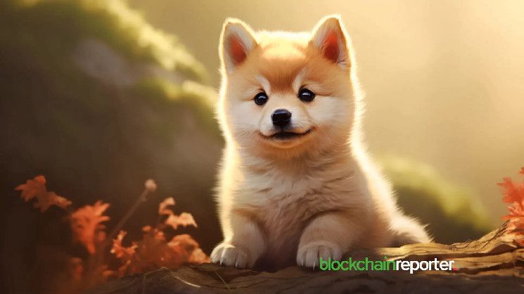 $DOGE Lidera Tokens Meme con $34.2B en Volumen Semanal de Comercio - Descubre Más - Cripto Boom