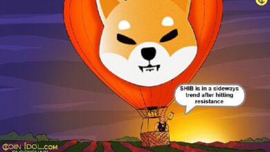 Shiba Inu Se Mantiene Estable y Lucha Contra la Barrera de $0.00002800: Descubre Su Próximo Movimiento - Cripto Boom