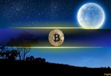 Bitcoin en 'Zona de Euforia' Alcanza un ATH de $81,800 Tras Ganar $14,000 en una Semana - ¡Descubre Más! - Cripto Boom