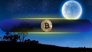 Bitcoin en 'Zona de Euforia' Alcanza un ATH de $81,800 Tras Ganar $14,000 en una Semana - ¡Descubre Más! - Cripto Boom