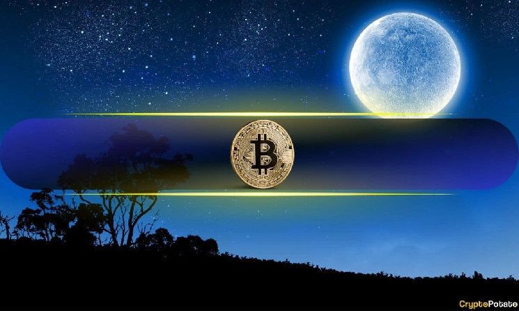 Bitcoin en 'Zona de Euforia' Alcanza un ATH de $81,800 Tras Ganar $14,000 en una Semana - ¡Descubre Más! - Cripto Boom