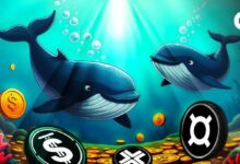 Las Ballenas Cambian el Enfoque hacia Proyectos Cripto Desapercibidos: ¡Descubre lo que se Avecina! - Cripto Boom