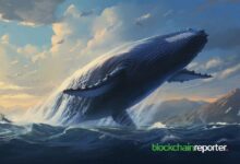 Ballena Generando Ganancias con el Aumento de $POPCAT, $BONK y $GIGA: Descubre Cómo Aprovecharlo - Cripto Boom