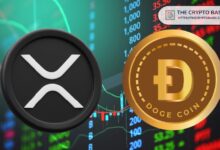 Economista Predice Gran Aumento de XRP Similar a la Explosión de Precio de Dogecoin: ¿Estás Preparado? - Cripto Boom