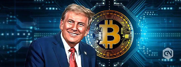 Anthony Pompliano Desvela el Secreto de Bitcoin de Donald Trump - Descúbrelo Aquí - Cripto Boom