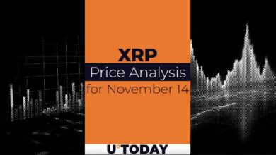 Predicción del Precio de XRP para el 14 de Noviembre: ¡Descubre las Tendencias! - Cripto Boom