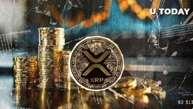 ¿Qué Revela el Interés Abierto de XRP Sobre la Tendencia de Precios? Descúbrelo Ahora - Cripto Boom