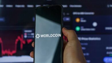 República Dominicana detiene operaciones de Worldcoin por preocupaciones sobre datos biométricos: Descubre más aquí - Cripto Boom