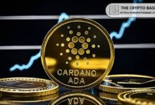 Más de 29,900 Carteras Abandonan Cardano tras Aumento del 108%: ¿Qué Indica la Historia para el Precio de ADA? ¡Descúbrelo Aquí! - Cripto Boom