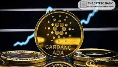 Más de 29,900 Carteras Abandonan Cardano tras Aumento del 108%: ¿Qué Indica la Historia para el Precio de ADA? ¡Descúbrelo Aquí! - Cripto Boom