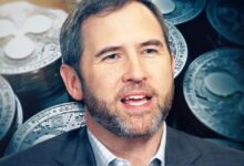 El CEO de Ripple (XRP), Brad Garlinghouse, habla en vivo tras nuevo récord en Bitcoin: ¡Descubre más! - Cripto Boom