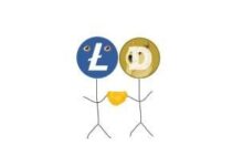 La moneda meme de Solana, Litecoin Mascot, se dispara a una capitalización de $120 millones en menos de 48 horas. ¡Descubre cómo lo logró! - Cripto Boom