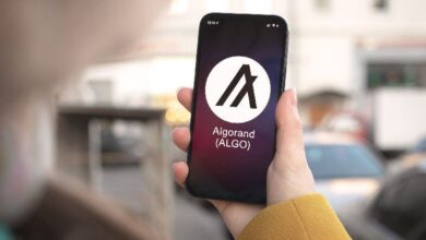 Precio de Algorand (ALGO) apunta a un aumento del 60% ante el resurgimiento de la demanda ¡Descubre más! - Cripto Boom