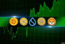 Análisis de Precios de Criptomonedas 15 de Noviembre: ¡Descubre las Tendencias de XRP, ADA, DOGE, SHIB y SUI! - Cripto Boom