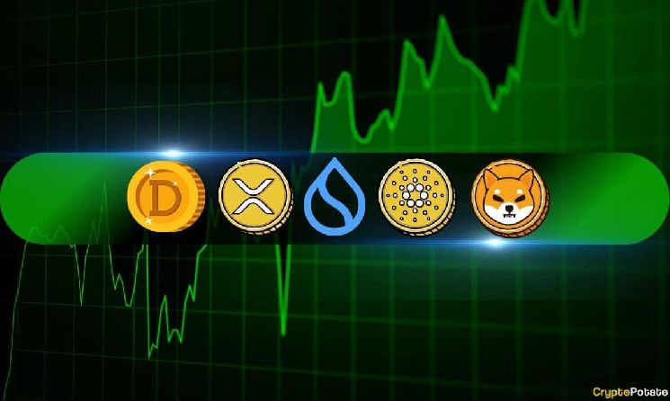 Análisis de Precios de Criptomonedas 15 de Noviembre: ¡Descubre las Tendencias de XRP, ADA, DOGE, SHIB y SUI! - Cripto Boom