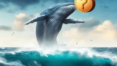 ¡Ballena que Ganó $68 Millones con PEPE Empieza a Acumular una Nueva Altcoin! Descubre Más - Cripto Boom