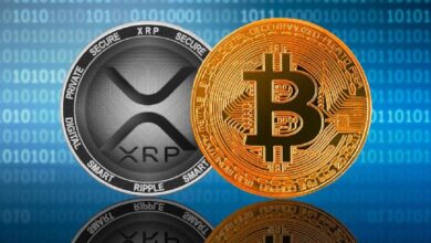 BTC y XRP Redefinen Límites en la Regulación Cripto de EE. UU.: Descubre Cómo - Cripto Boom