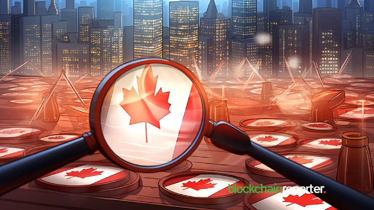 Transak Canadá logra registro FINTRAC: Descubre los detalles ahora - Cripto Boom