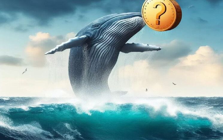 ¡Ballena Gigante Comienza a Vender Ganancias Tras el Aumento de Esta Altcoin: Transforma $1 Millón en $9 Millones! - Cripto Boom