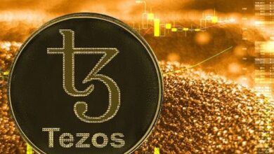 Atención a los $1.46 tras el máximo de 8 meses de Tezos (XTZ) gracias a Everstake: ¡Descubre qué sigue! - Cripto Boom