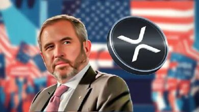 El CEO de Ripple, Brad Garlinghouse, elogiado como nuevo Zar de Criptomonedas de Trump: Descubre la historia completa - Cripto Boom