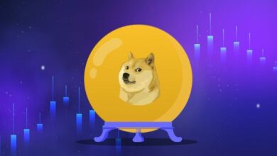 ¿Seguirá Aumentando el Rally de Precios de Dogecoin? ¡Descubre si DOGE Superará los $0.18! - Cripto Boom