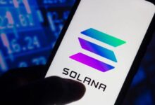 ¡La Blockchain de Solana Alcanzó su Mayor Número de Usuarios en la Historia! Descubre los Detalles Aquí - Cripto Boom