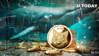 ¡Revelado! Ballena Gigante de Shiba Inu (SHIB) de $2.5 Mil Millones: ¿Será Ryoshi? - Cripto Boom