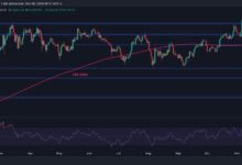 Análisis del Precio de Bitcoin: ¿Superará BTC los $80K tras una Subida Semanal del 8%? ¡Descúbrelo Aquí! - Cripto Boom